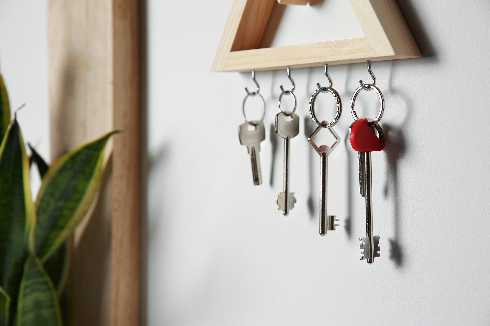 Wall with keys Image
